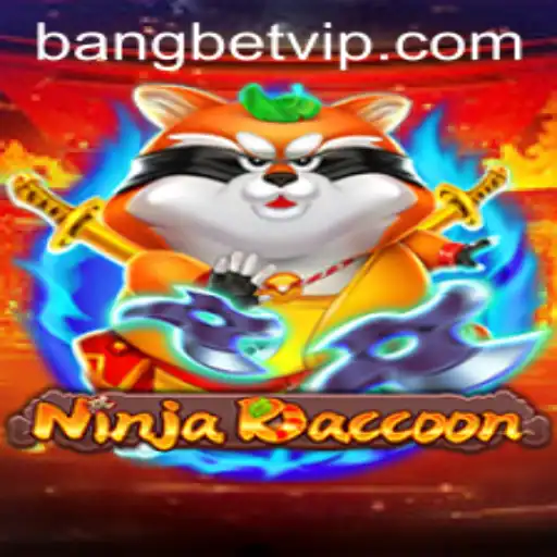 NinjaRaccoon: A Thrilling New Adventure Awaits